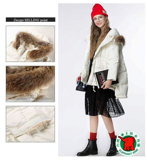 鄭州干洗店排名-選哪個品牌加盟好?